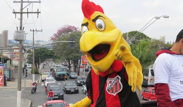 Conheça As Mascotes Dos Times Da Série B Do Brasileirão-2022Jogada 10 ...