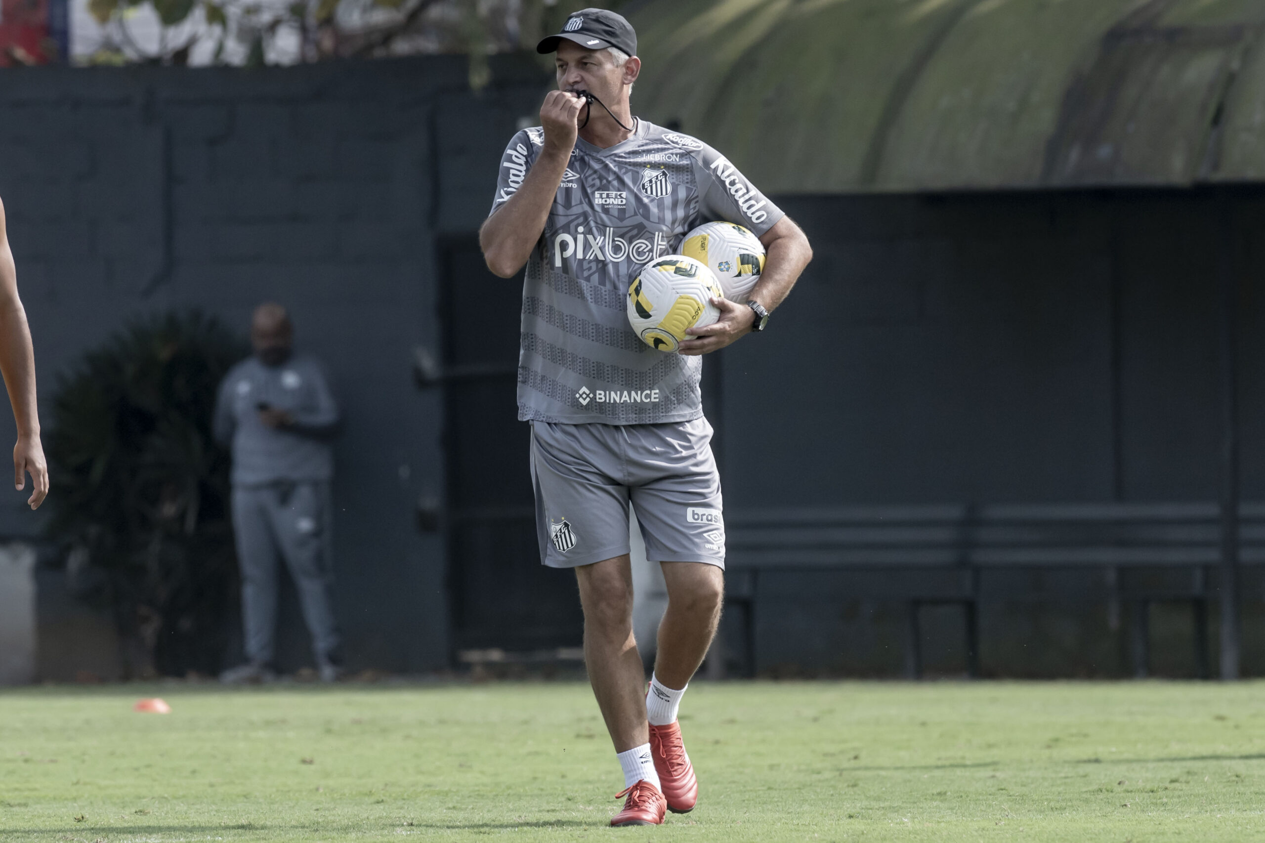 Angulo e Jhojan ganham respaldo com novo técnico no Santos: A