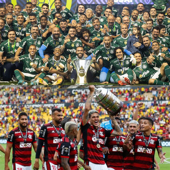 Flamengo e Palmeiras campeões