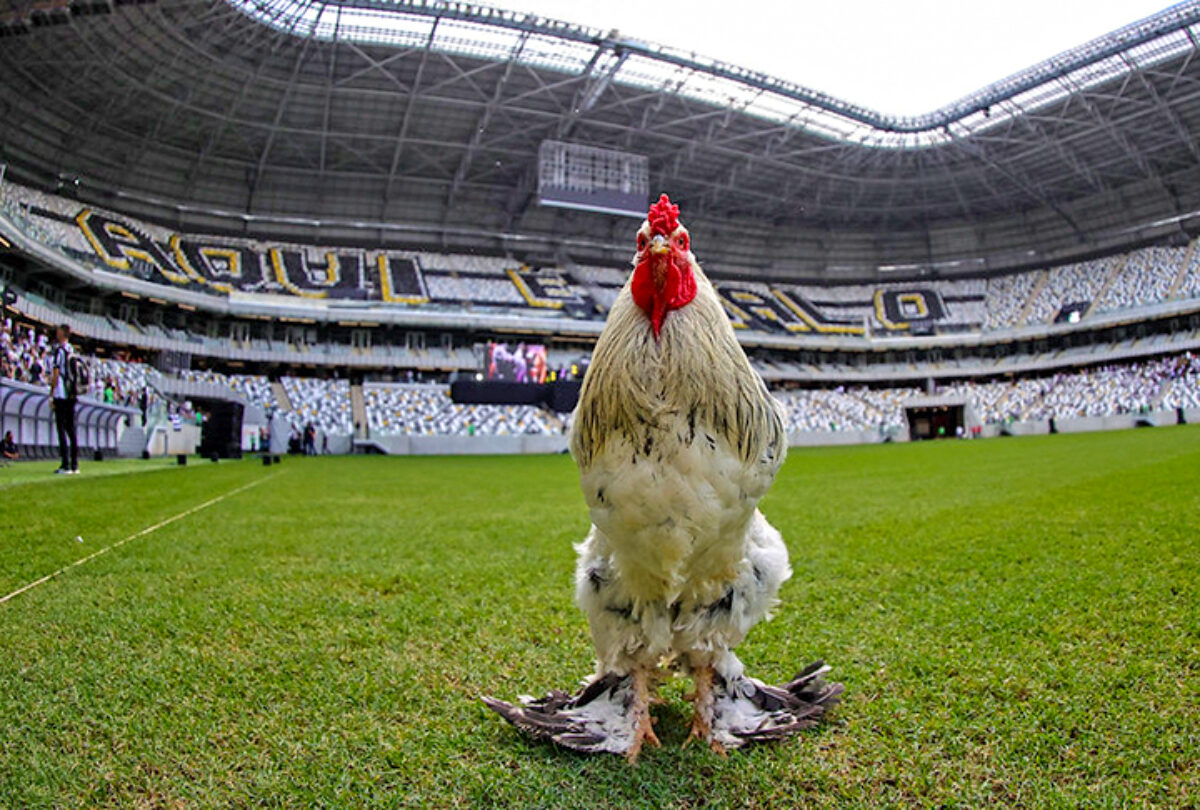 Atlético-MG apresenta a Arena MRV a empresários importantes