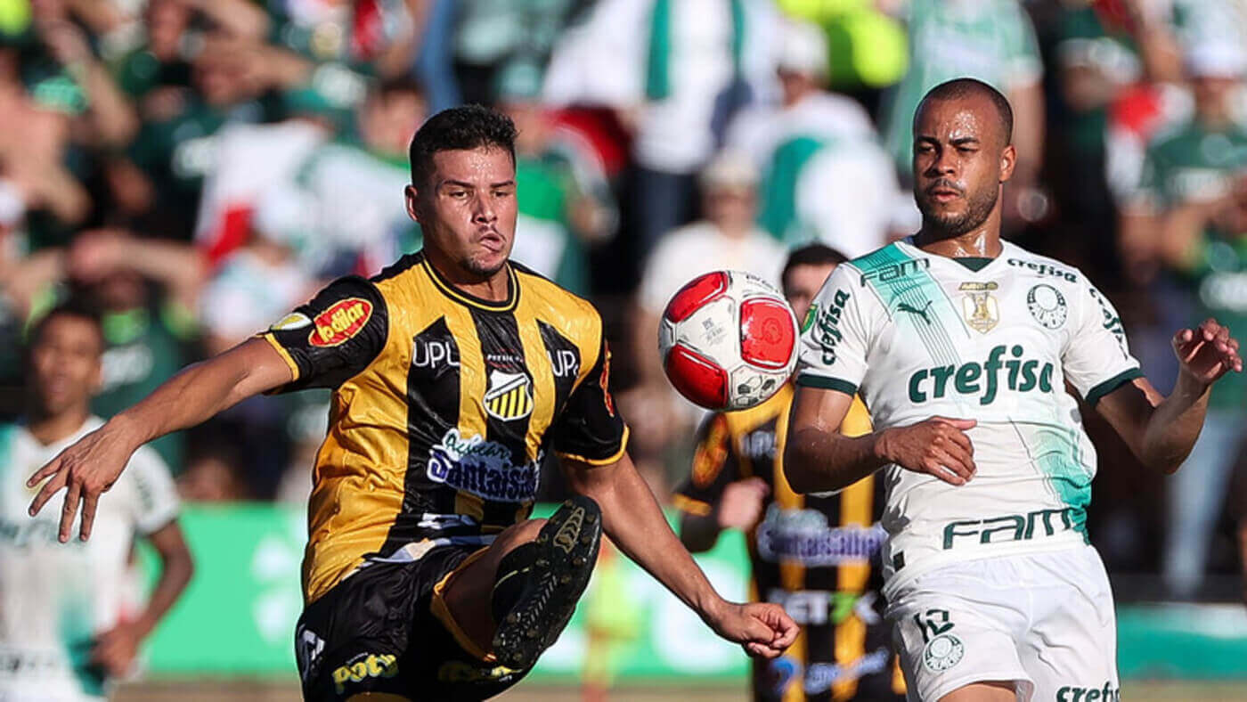 Invicto contra o Novorizontino, Palmeiras busca vaga na quinta final seguida do Paulistão