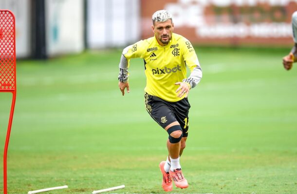 Assim como junho, o mês também foi marcado por jogos do Brasileirão. Isto porque estava ocorrendo a Copa América. Foram nove jogos: cinco vitórias, dois empates e duas derrotas. O time ficou esfacelado por cinco convocados e alguns lesionados pelo caminho. No começo, Tite encontrou algumas soluções para lidar com as ausências e viu o time alcançar a ponta da tabela do Brasileirão. As 